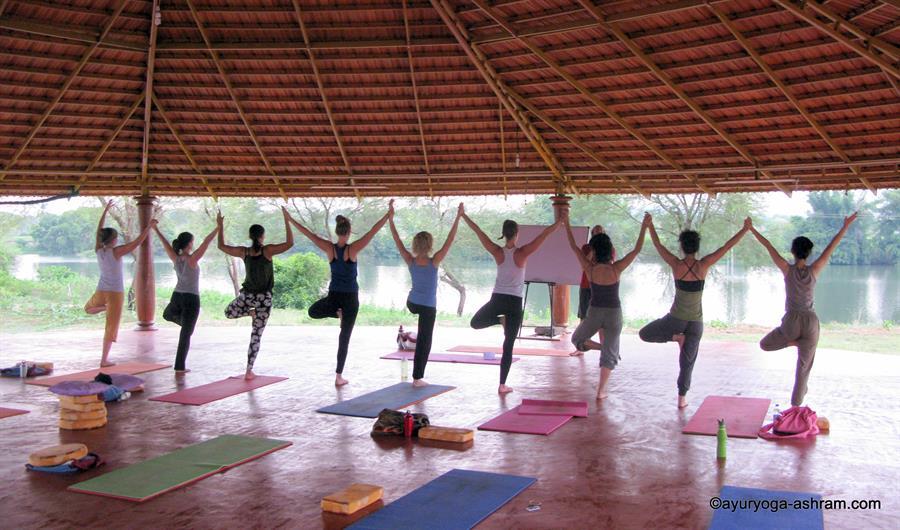 Yoga India (39)